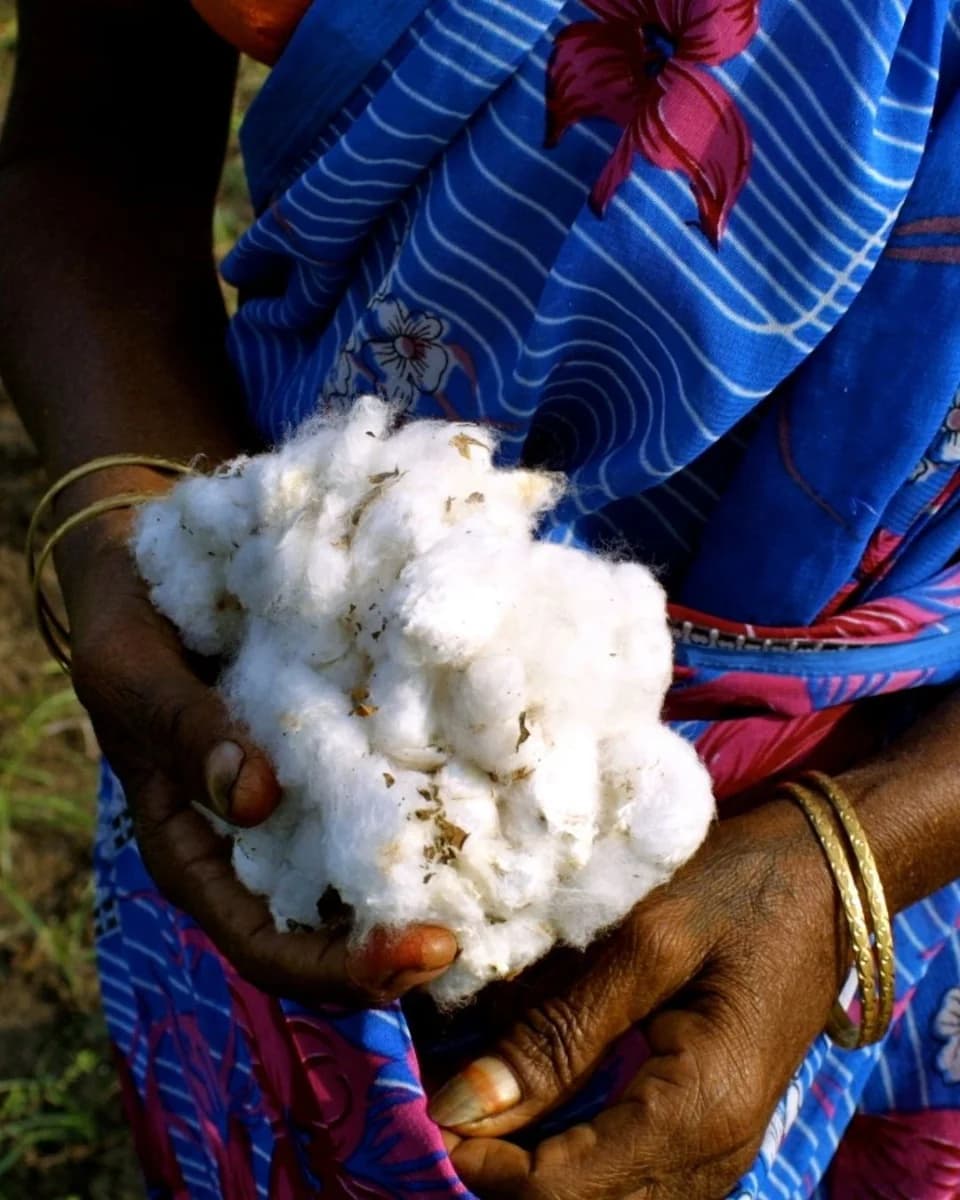 Engaging with farming communities: Yumeko invited to join Fairtrade Rightsholder Dialogue