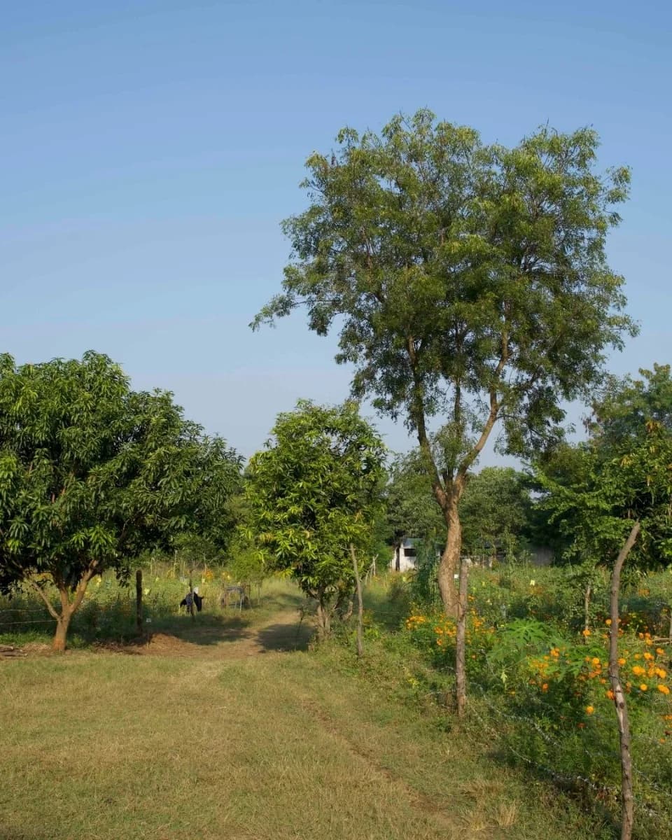 Clean & Green Villages: revolutionising the cotton supply chain